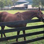 2019_OTRA_0622 (September 01, 2019)